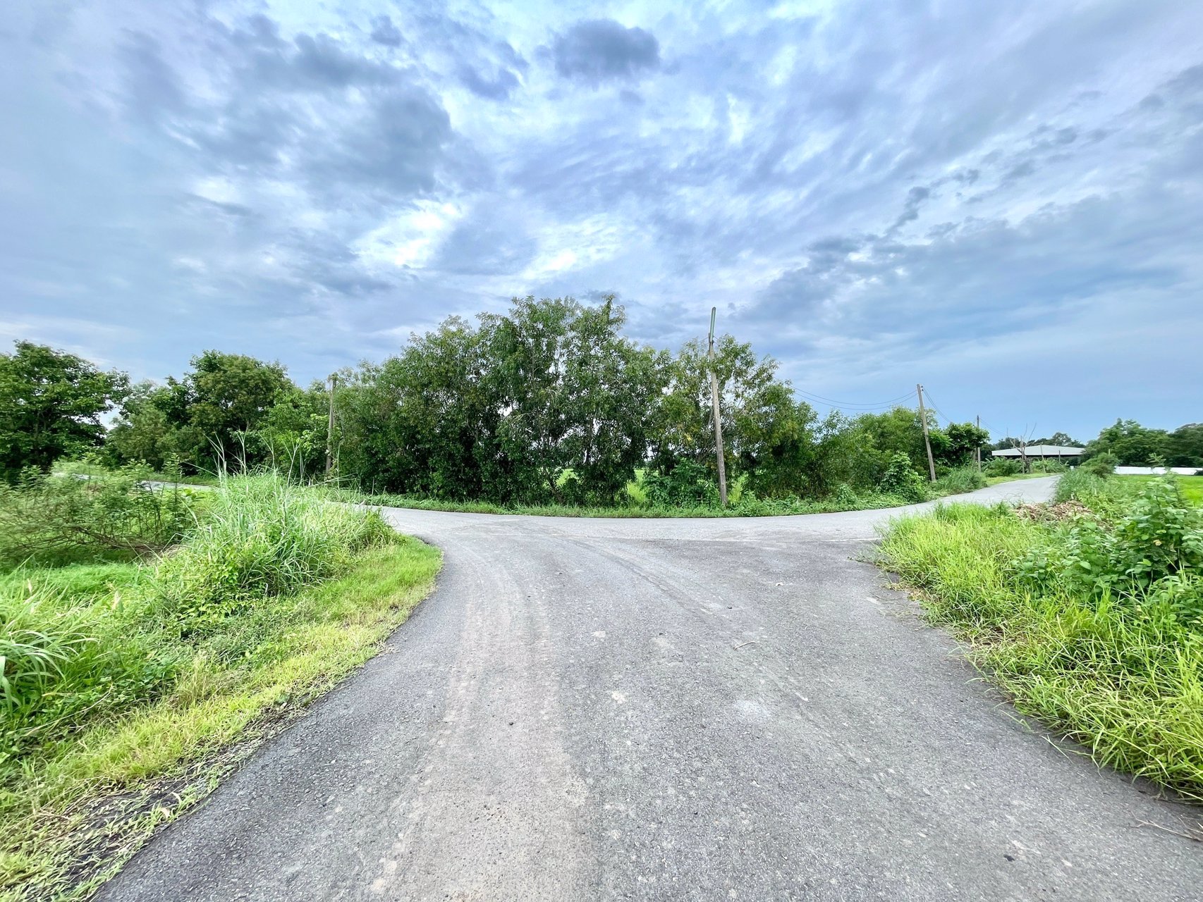 ขายที่นาราคาถูก-3-ไร่-2-งาน-164-ตารางวา-ตท่าทราย-อเมือง-จนครนายก-ติดถนน-ใกล้เมือง