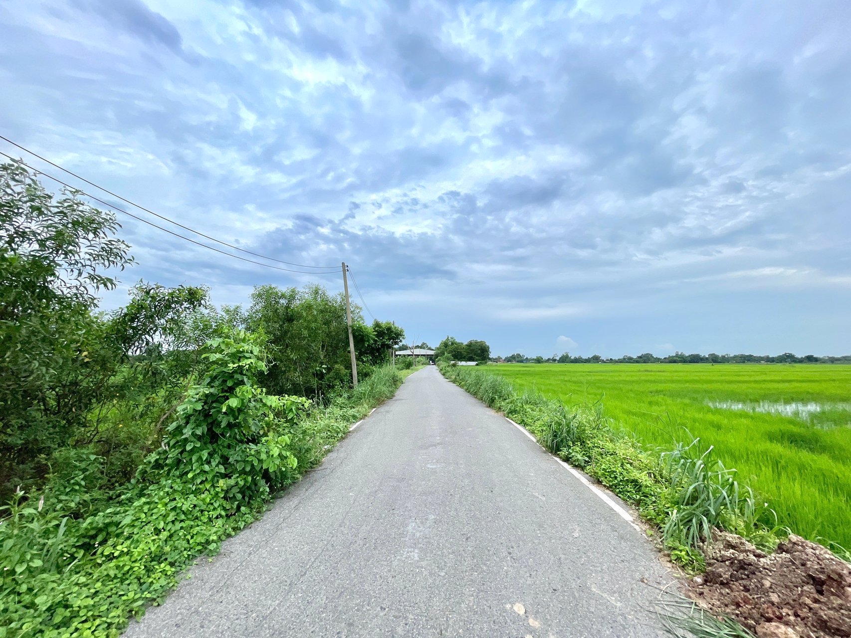 ขายที่นาราคาถูก-3-ไร่-2-งาน-164-ตารางวา-ตท่าทราย-อเมือง-จนครนายก-ติดถนน-ใกล้เมือง