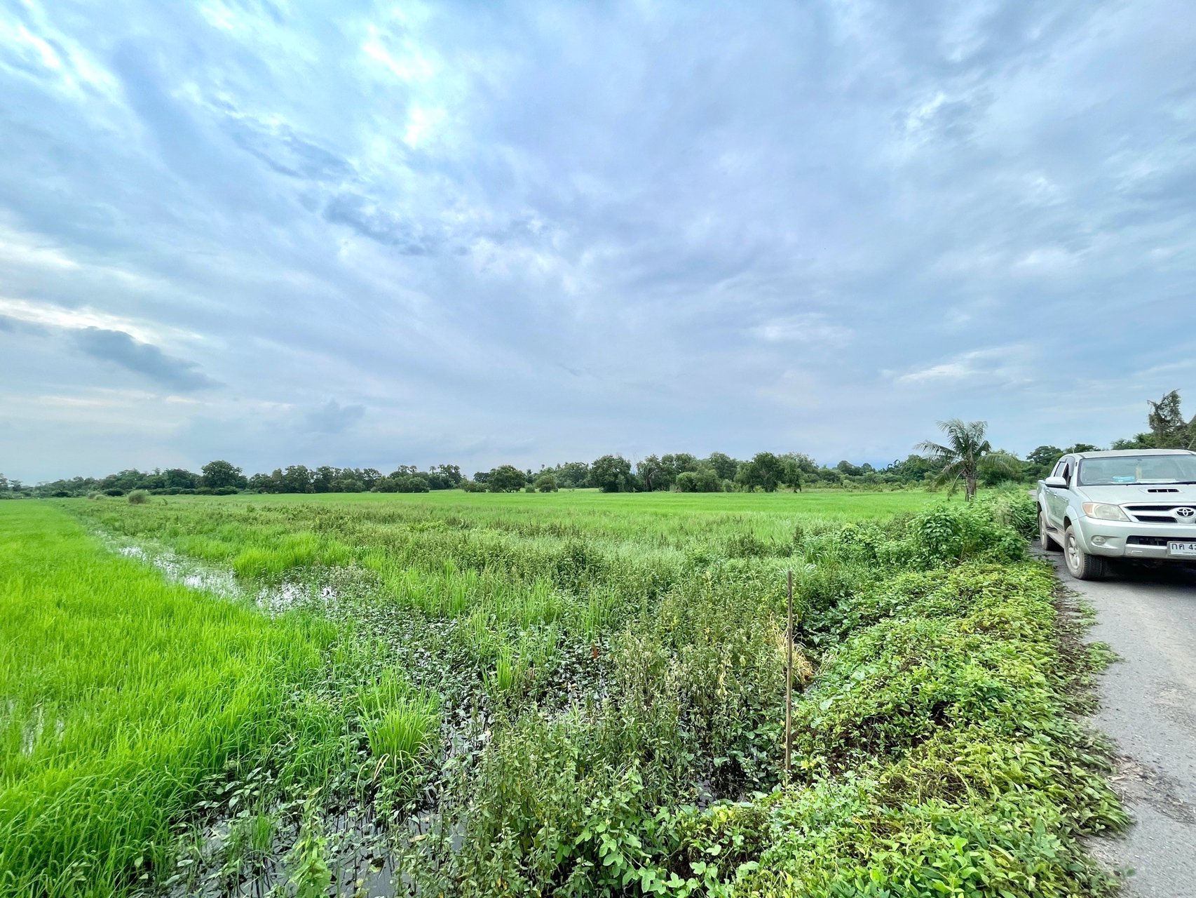 ขายที่นาราคาถูก-3-ไร่-2-งาน-164-ตารางวา-ตท่าทราย-อเมือง-จนครนายก-ติดถนน-ใกล้เมือง