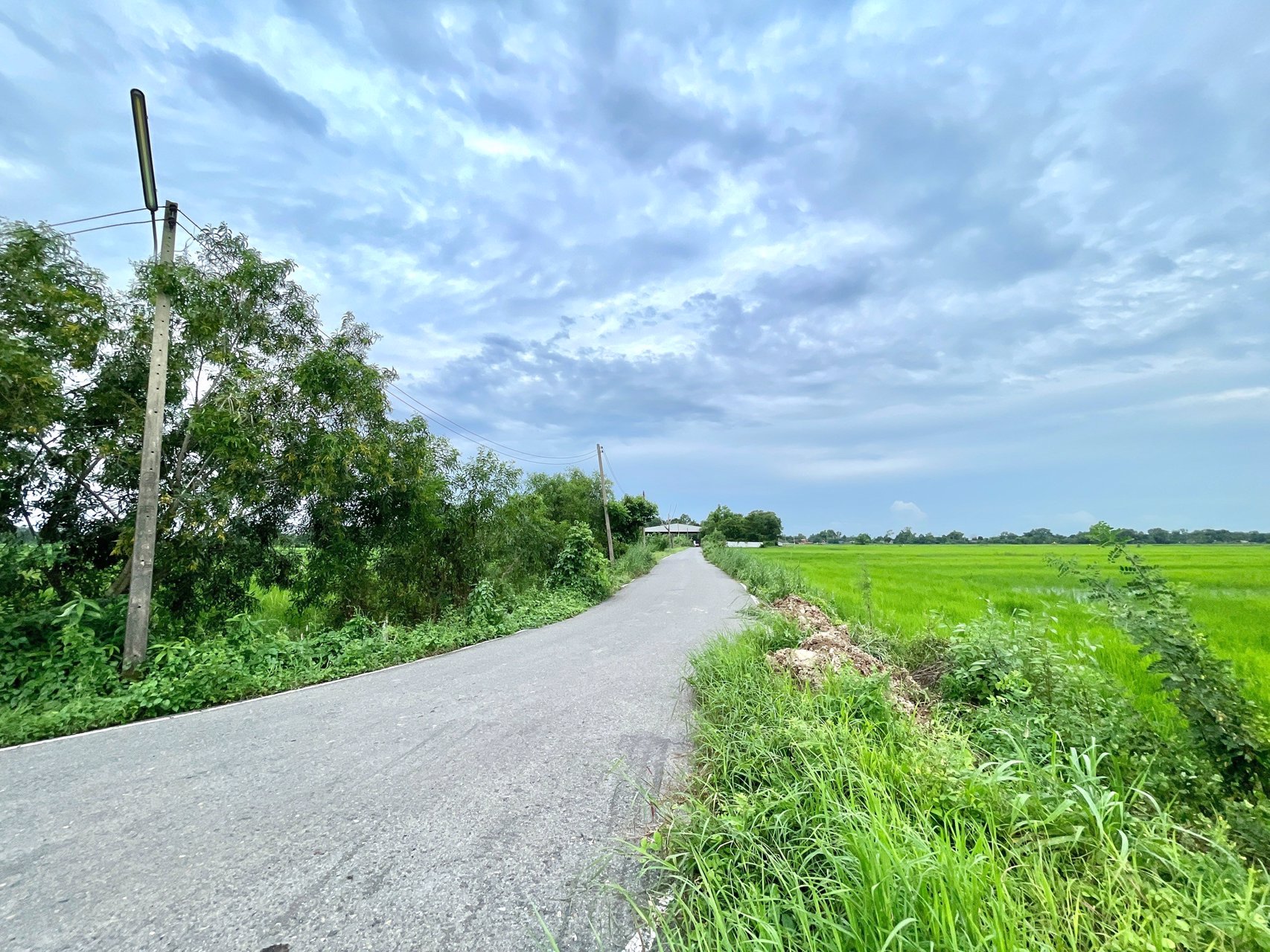 ขายที่นาราคาถูก-3-ไร่-2-งาน-164-ตารางวา-ตท่าทราย-อเมือง-จนครนายก-ติดถนน-ใกล้เมือง