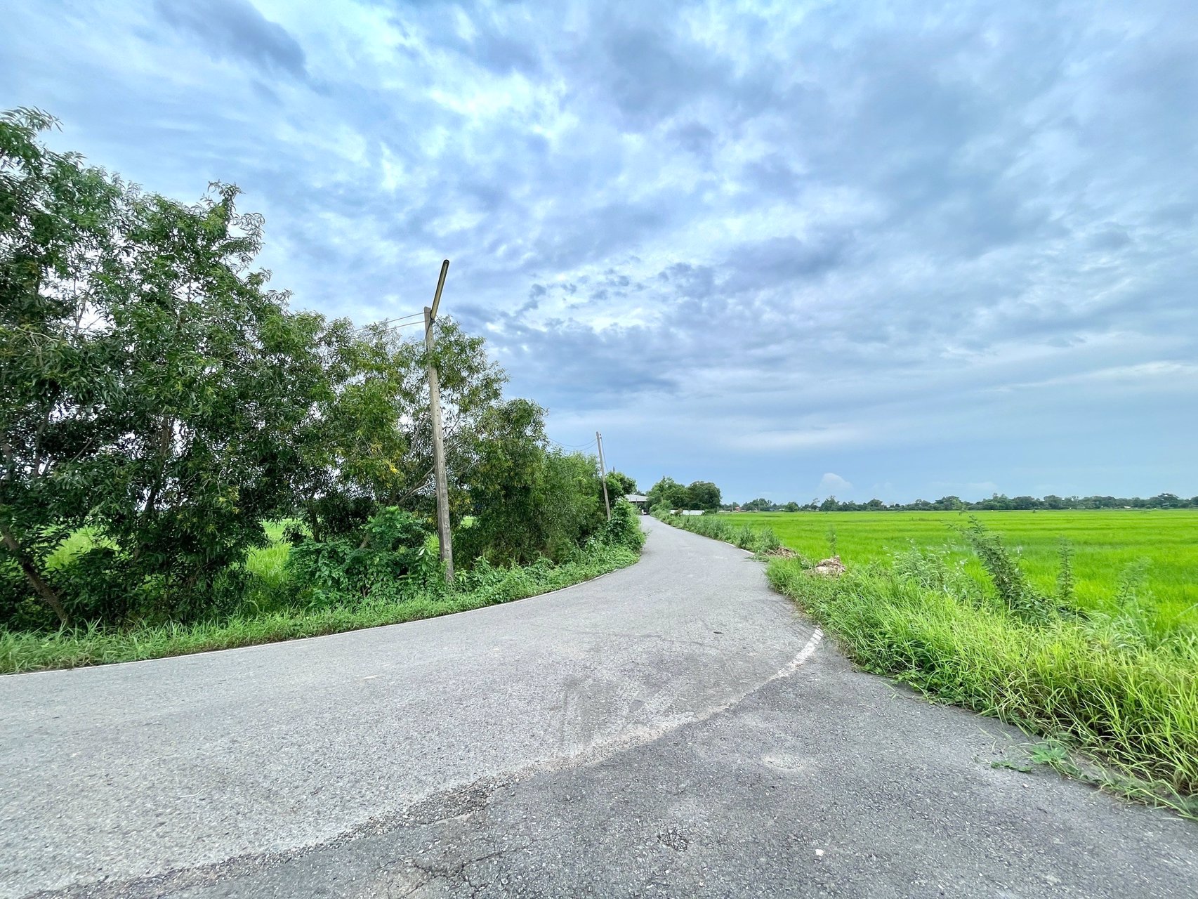 ขายที่นาราคาถูก-3-ไร่-2-งาน-164-ตารางวา-ตท่าทราย-อเมือง-จนครนายก-ติดถนน-ใกล้เมือง