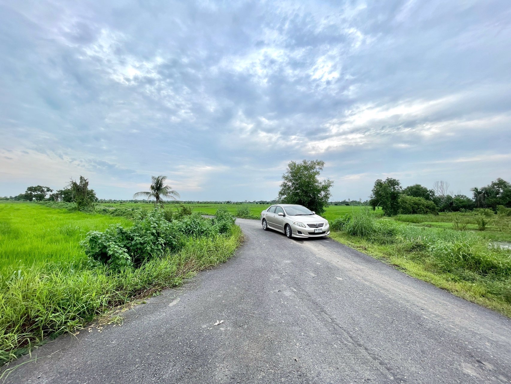 ขายที่นาราคาถูก-3-ไร่-2-งาน-164-ตารางวา-ตท่าทราย-อเมือง-จนครนายก-ติดถนน-ใกล้เมือง