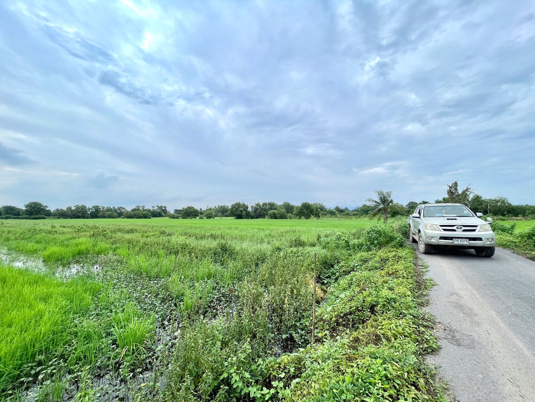 ขายที่นาราคาถูก-3-ไร่-2-งาน-164-ตารางวา-ตท่าทราย-อเมือง-จนครนายก-ติดถนน-ใกล้เมือง