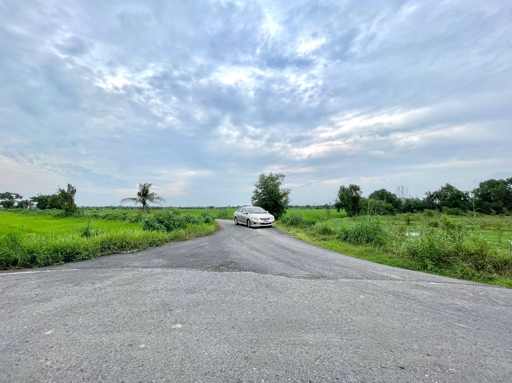 ขายที่นาราคาถูก-3-ไร่-2-งาน-164-ตารางวา-ตท่าทราย-อเมือง-จนครนายก-ติดถนน-ใกล้เมือง