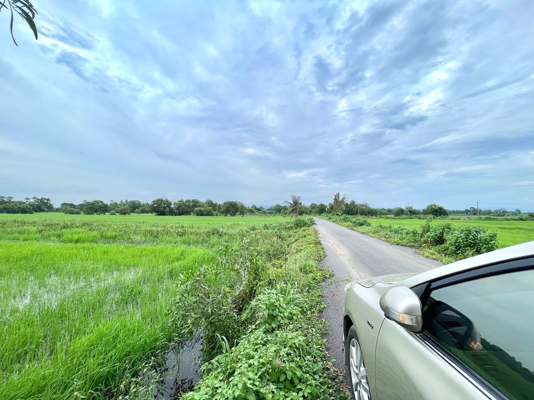 ขายที่นาราคาถูก-3-ไร่-2-งาน-164-ตารางวา-ตท่าทราย-อเมือง-จนครนายก-ติดถนน-ใกล้เมือง