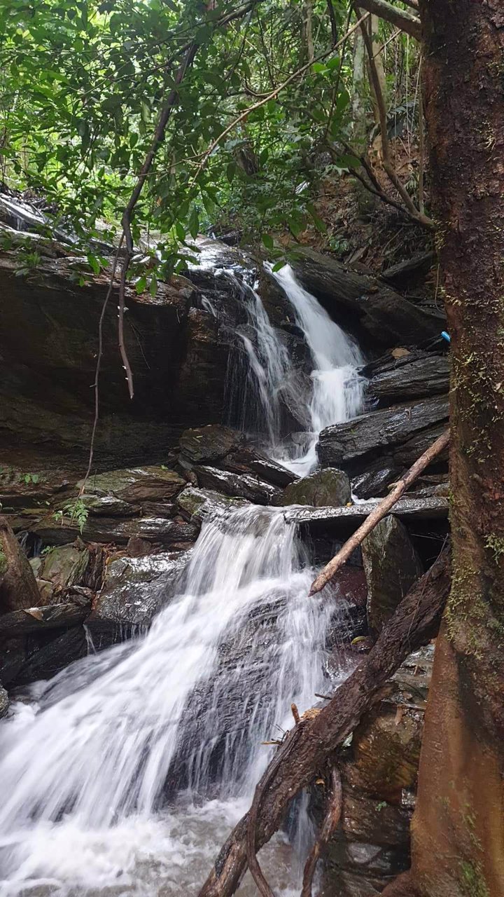 ขายที่ดิน-พิกัด-ตแม่ลาว-อำเภอเชียงคำ-จังหวัดพะเยา