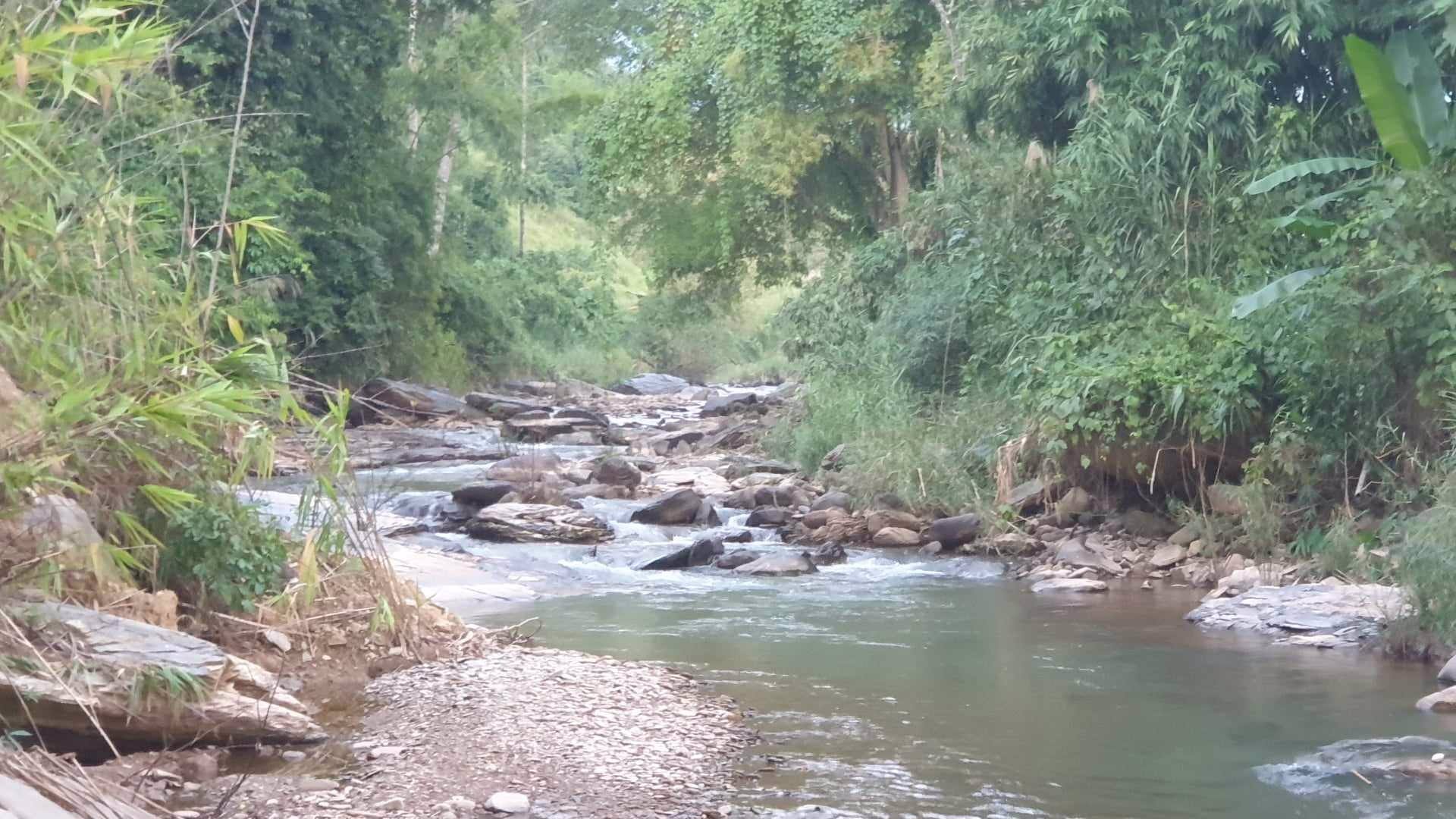 ขายที่ดิน-พิกัด-ตแม่ลาว-อำเภอเชียงคำ-จังหวัดพะเยา