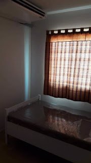 b155-ให้เช่าบ้านทาวเฮ้าส์-2-ชั้น-โครงการ-พฤกษาเอเวนิว-หนามแดง-โครงการพฤกษา-87-ศรีนครินทร์-บางนา-เ