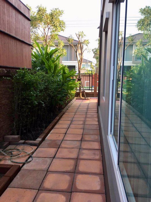 ขายและให้เช่าบ้านเดี่ยวโครงการภัสสรเพรจทิสลุกซ์-พัฒนาการ