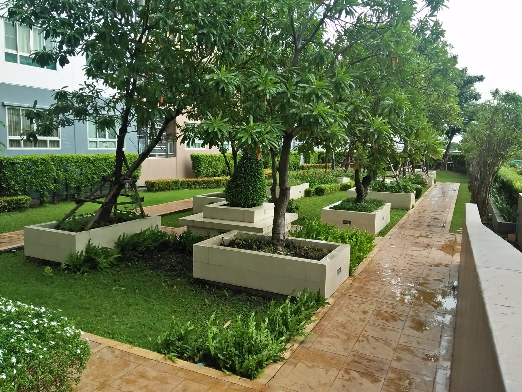 ปล่อยเช่า-ห้องคอนโด-the-trust-ปิ่นเกล้า-เจ้าของปล่อยเอง-