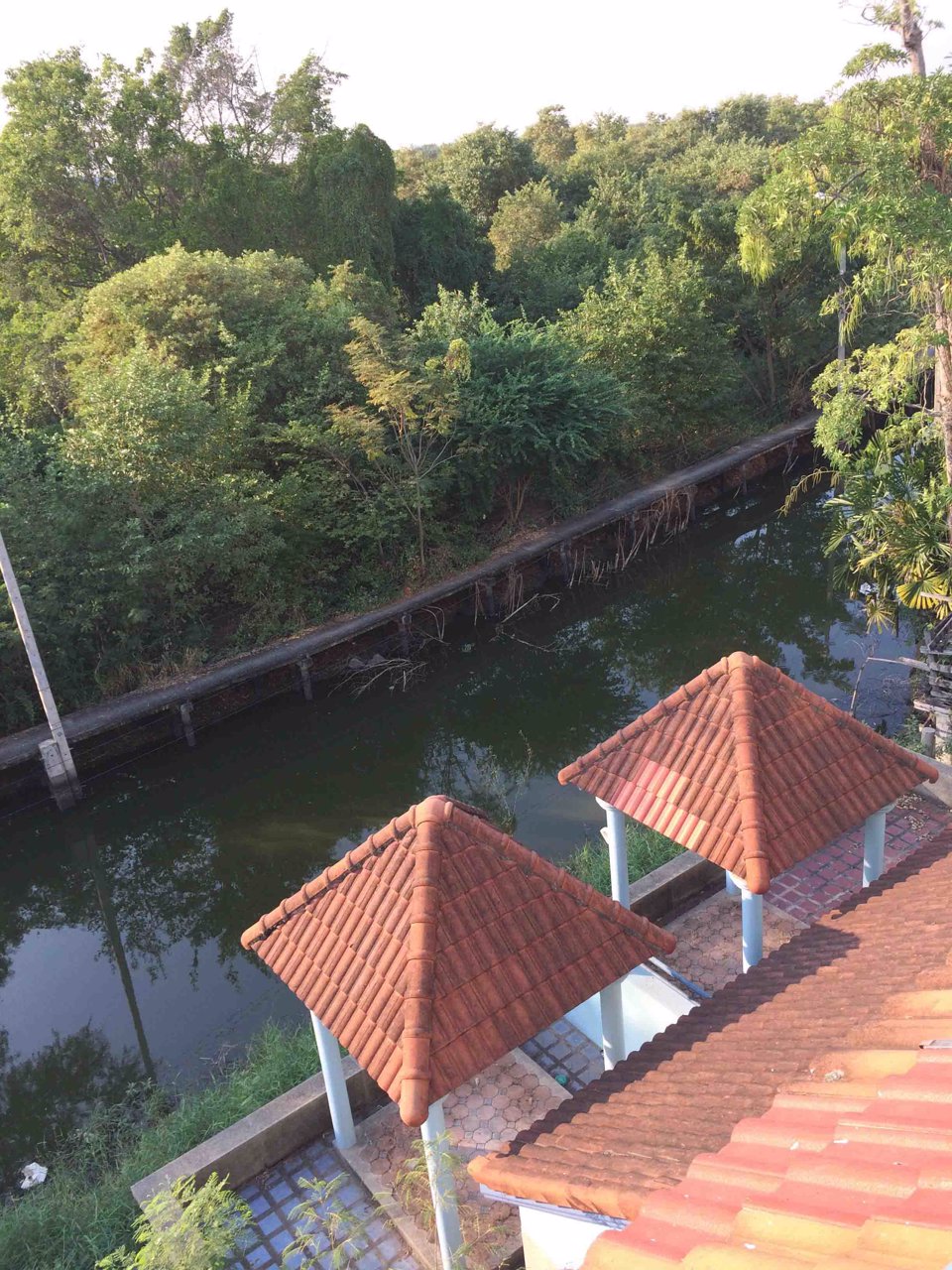 for-rent-luxury-home-office-bangna-km-14-residential-office-golf-course