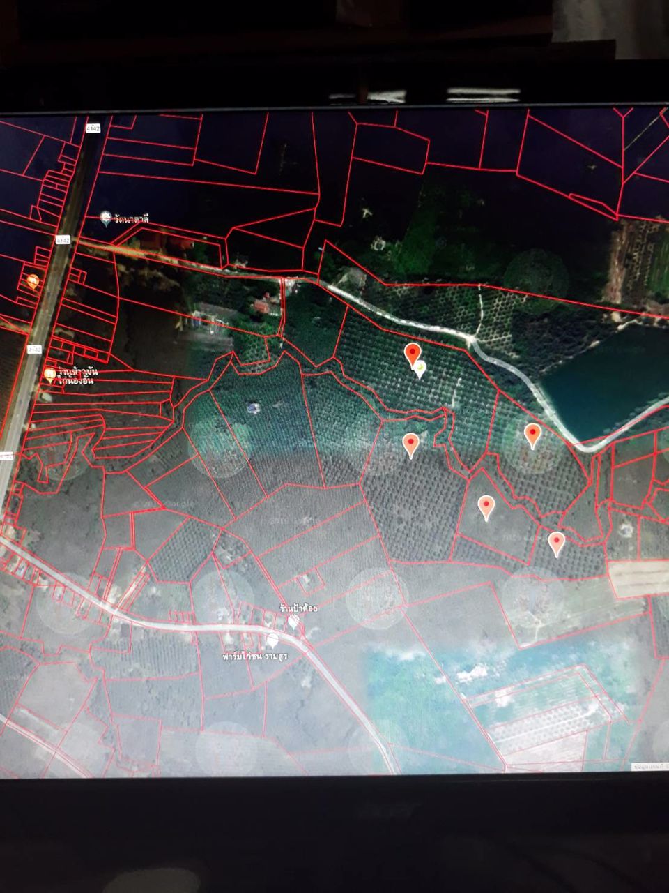 ลดราคา-ขายสวนปาล์ม-90-กว่าไร่-ไร่ละ-190000-บาท-ไร่