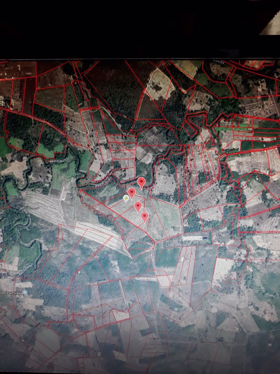 ขายด่วนที่ดินสวนปามล์-57-ไร่-2-งาน-96-ตรวไร่ละ-115000