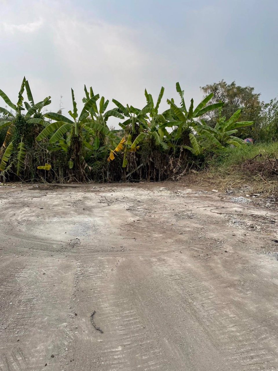 ขายที่ดินเปล่าปากเกร็ด-ซ-ต้นสน-6-ซแจ้งวัฒนะ-ปากเกร็ด-20