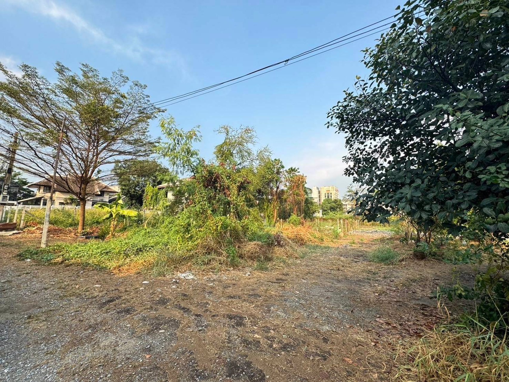 ขายที่ดินเปล่าปากเกร็ด-ซ-ต้นสน-6-ซแจ้งวัฒนะ-ปากเกร็ด-20