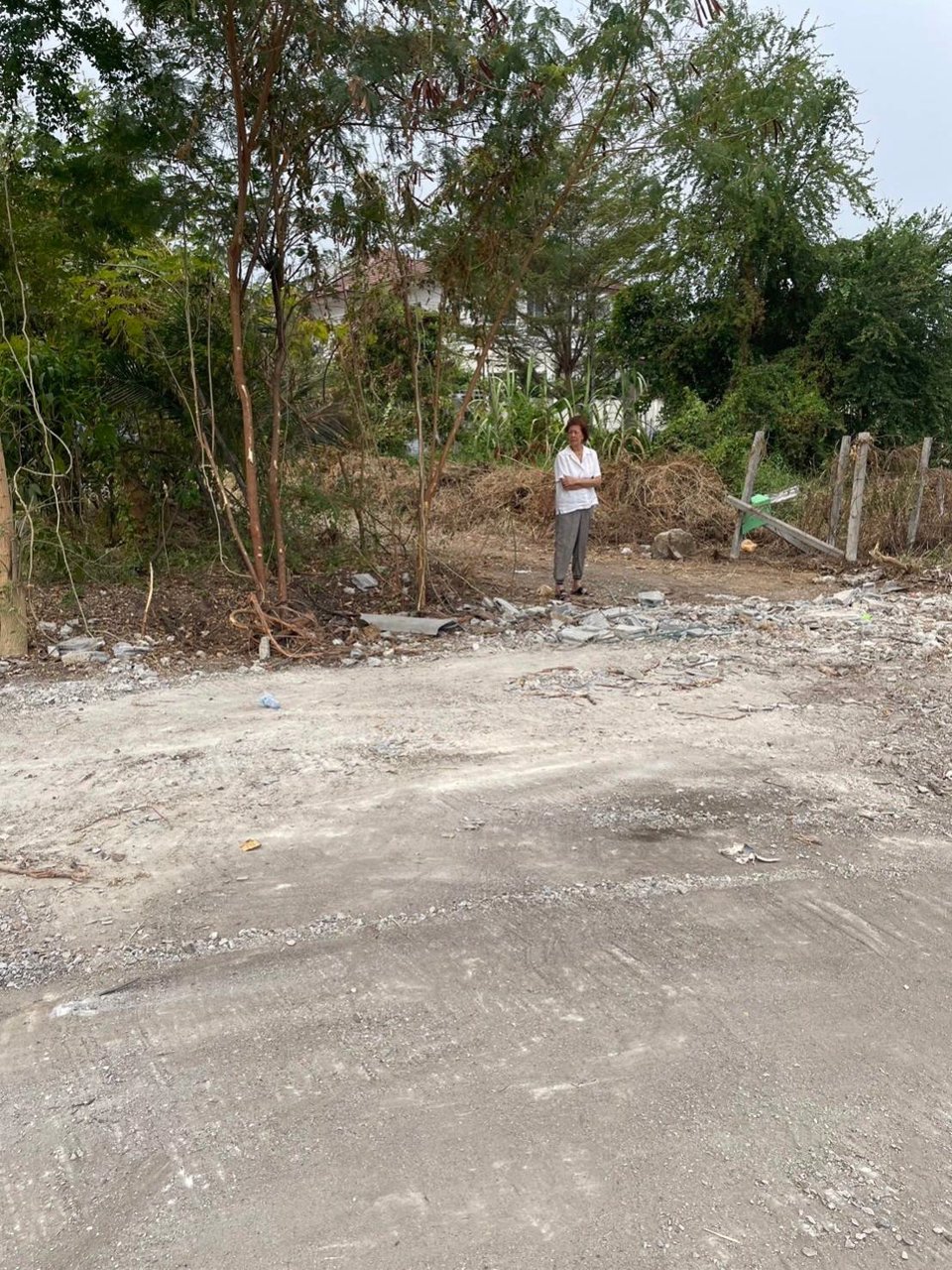 ขายที่ดินเปล่าปากเกร็ด-ซ-ต้นสน-6-ซแจ้งวัฒนะ-ปากเกร็ด-20