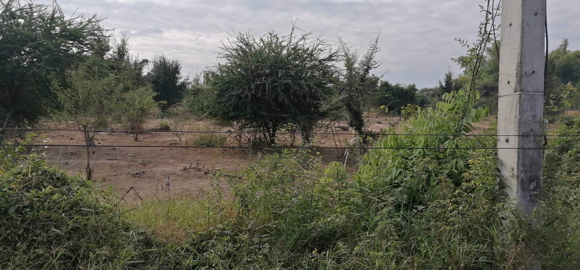 ขายที่ดิน-9-ไร่-2-งาน-85-ตารางวา