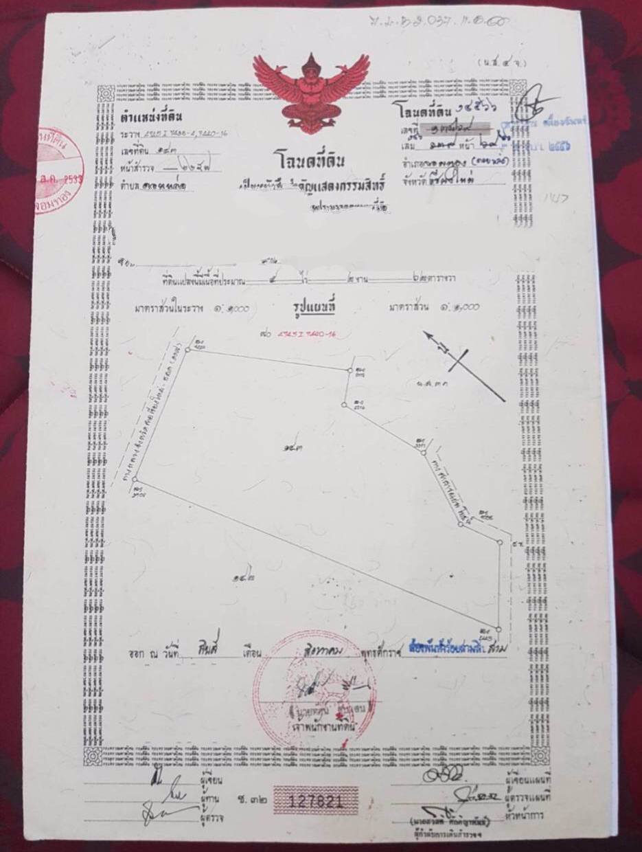 ขายที่ดิน-9-ไร่-2-งาน-85-ตารางวา