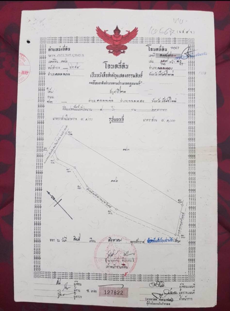 ขายที่ดิน-9-ไร่-2-งาน-85-ตารางวา
