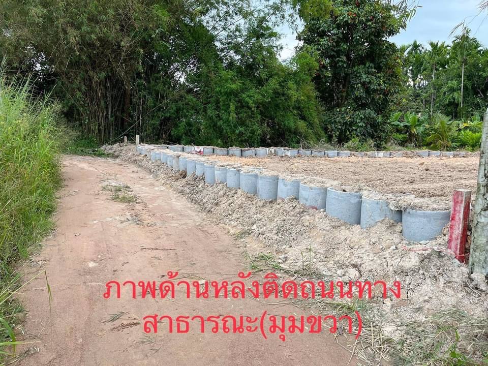 ที่ดิน-100-ตารางวา-หาซื้อไม่ยาก-แต่ที่ดินทำเลอยู่ในเขต-eec-ติดถนนสองด้าน-มีโฉนดพร้อม-มีแปลงนี้แปลงเด