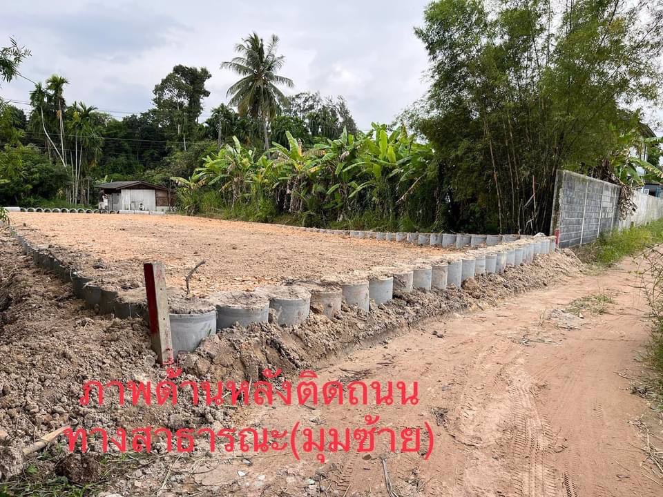 ที่ดิน-100-ตารางวา-หาซื้อไม่ยาก-แต่ที่ดินทำเลอยู่ในเขต-eec-ติดถนนสองด้าน-มีโฉนดพร้อม-มีแปลงนี้แปลงเด