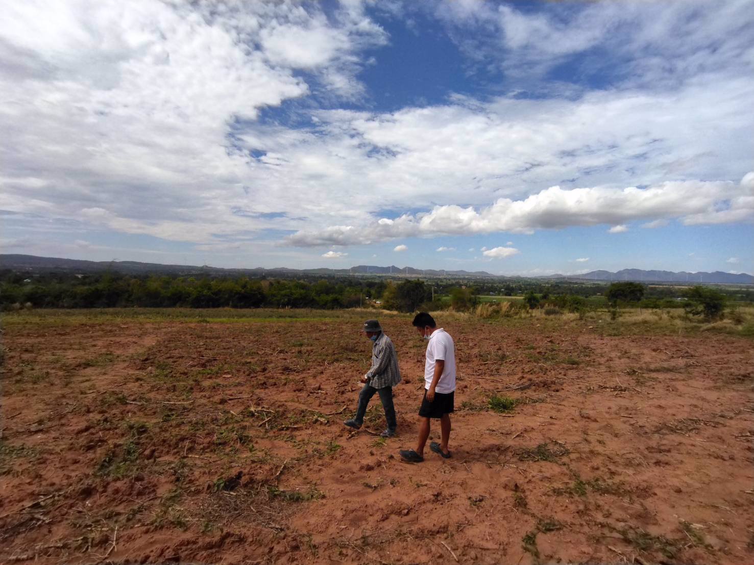 ขาย-ที่ดิน-ที่ตากอากาศ-ราคาถูก-อำเภอสีคิ้ว-โคราช