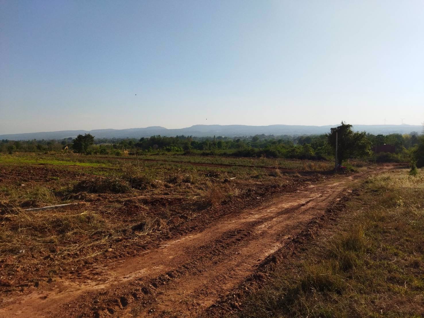 ขาย-ที่ดิน-ที่ตากอากาศ-ราคาถูก-อำเภอสีคิ้ว-โคราช