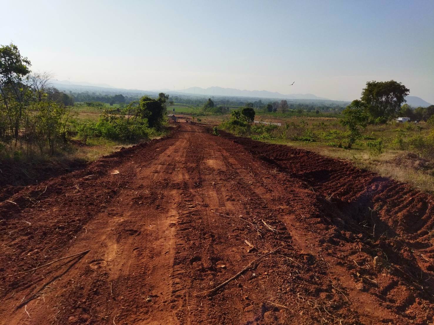 ขาย-ที่ดิน-ที่ตากอากาศ-ราคาถูก-อำเภอสีคิ้ว-โคราช