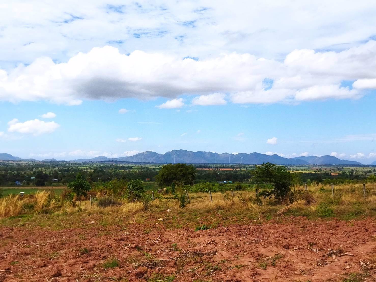 ขาย-ที่ดิน-ที่ตากอากาศ-ราคาถูก-อำเภอสีคิ้ว-โคราช