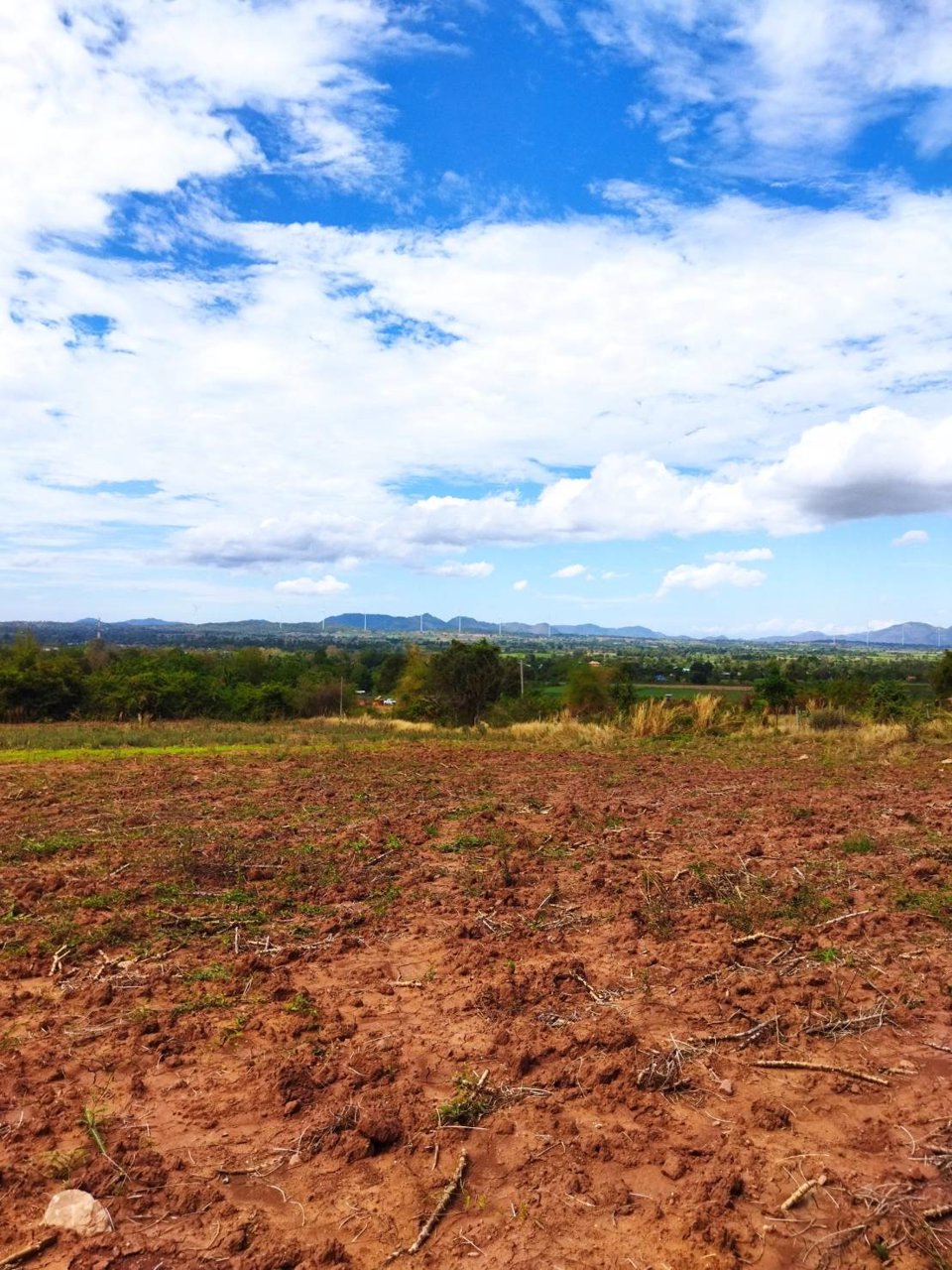 ขาย-ที่ดิน-ที่ตากอากาศ-ราคาถูก-อำเภอสีคิ้ว-โคราช