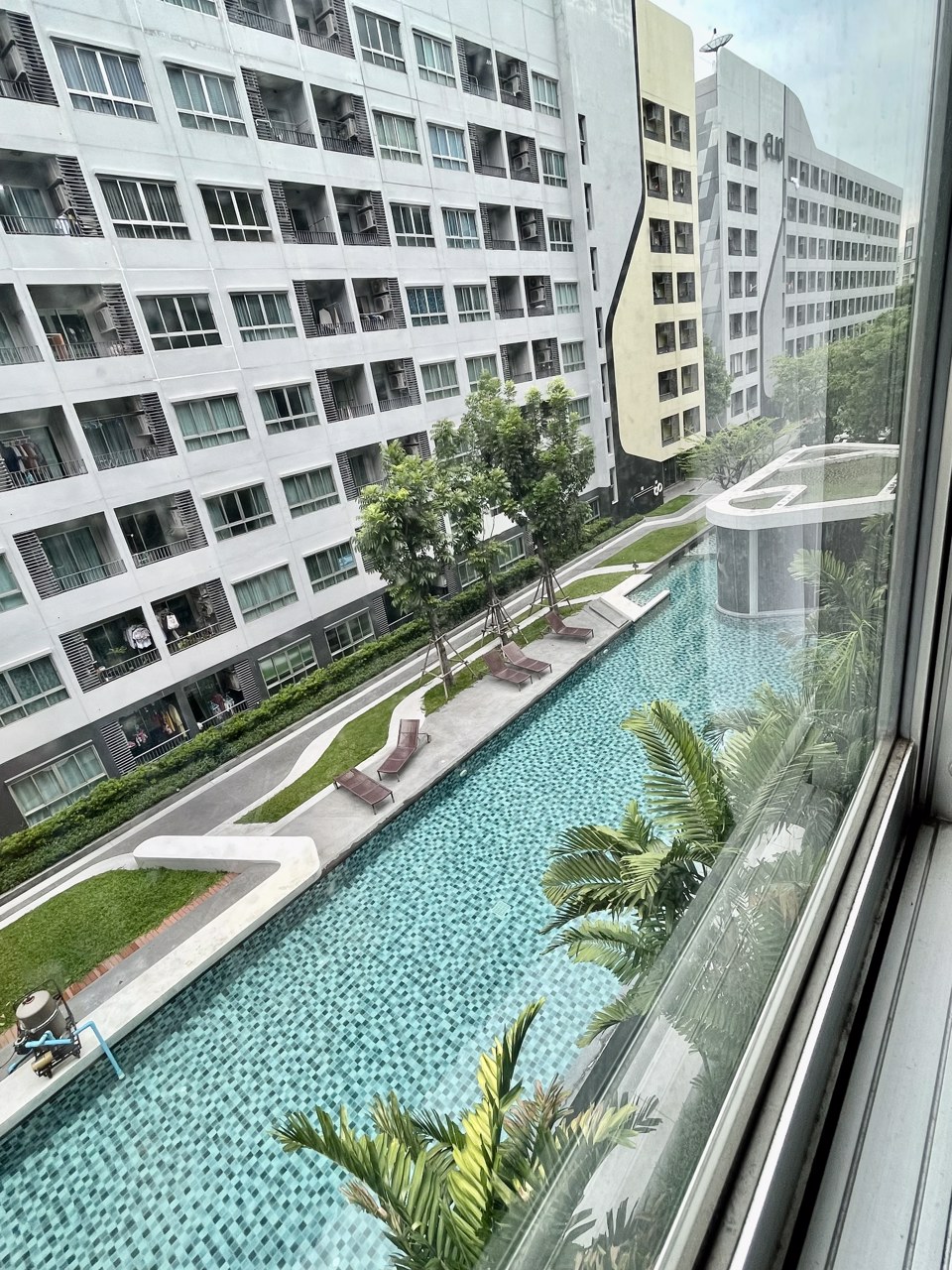 ขายคอนโดใกล้รถไฟฟ้า-elio-condo-sukhumvit-64-ฟรีโอน-ใกล้-bts-ปุณณวิถีและ-bts-อุดมสุข