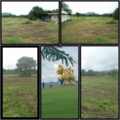 ขายที่ดินเปล่า-ถนนเด่นห้า-ดงมะดะ-ตป่าอ้อดอนชัย-อเมือง-จเชียงราย-ฝั่งเดียวกับไร่บุญรอด