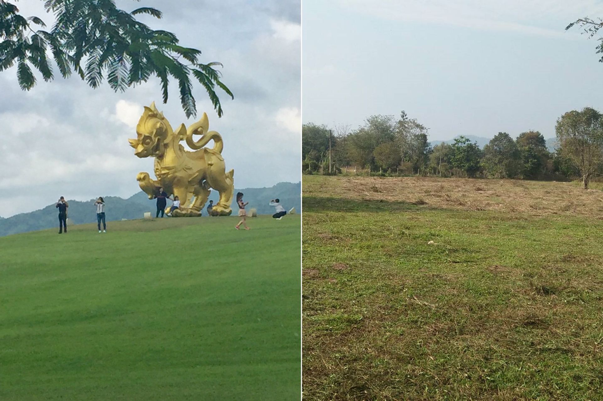 ขายที่ดินเปล่า-ถนนเด่นห้า-ดงมะดะ-ตป่าอ้อดอนชัย-อเมือง-จเชียงราย-ฝั่งเดียวกับไร่บุญรอด