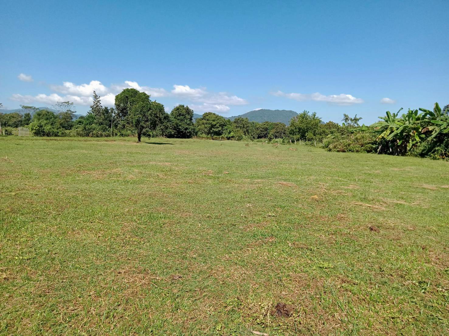 ขายที่ดินเปล่า-ถนนเด่นห้า-ดงมะดะ-ตป่าอ้อดอนชัย-อเมือง-จเชียงราย-ฝั่งเดียวกับไร่บุญรอด