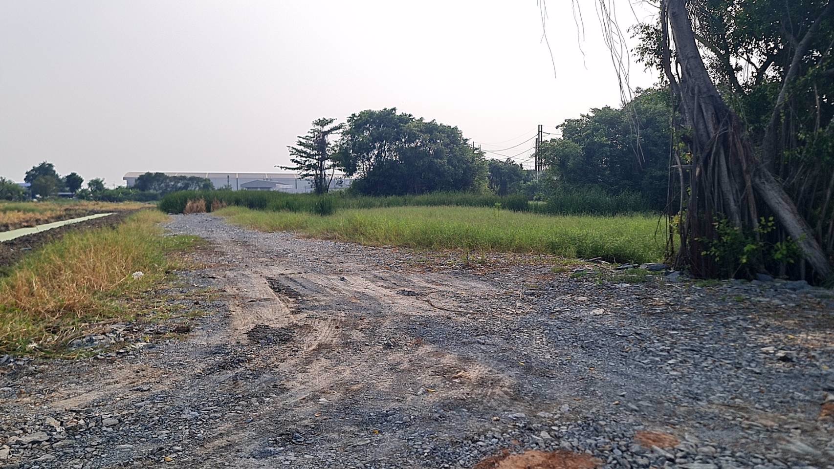 ขายที่ดินเปล่าถมแล้วติดนิคมอุตสาหกรรมสมุทรสาครซอย3-ซอย5