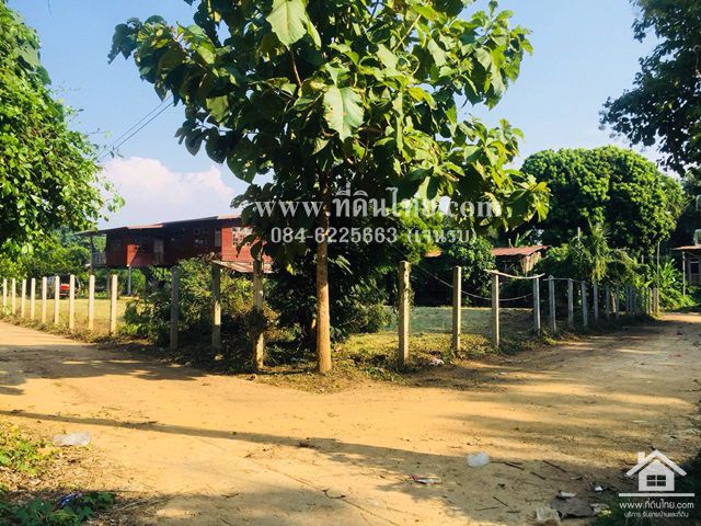 ขายบ้านพร้อมที่ดิน-โฉนด-3งาน-36ตรว-ตปากช่อง-อหล่มสัก-จเพชรบูรณ์-รหัส-h53