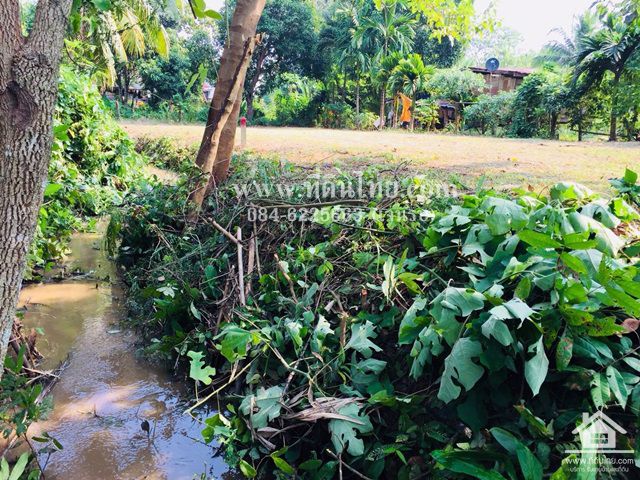 ขายที่ดินว่างเปล่า-โฉนด-3งาน26ตรว-ตปากช่อง-อหล่มสัก-จเพชรบูรณ์-รหัส-l292