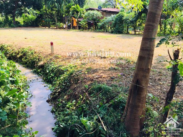 ขายที่ดินว่างเปล่า-โฉนด-3งาน26ตรว-ตปากช่อง-อหล่มสัก-จเพชรบูรณ์-รหัส-l292