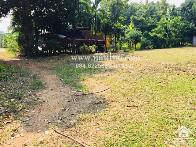 ขายที่ดินว่างเปล่า-โฉนด-3งาน26ตรว-ตปากช่อง-อหล่มสัก-จเพชรบูรณ์-รหัส-l292