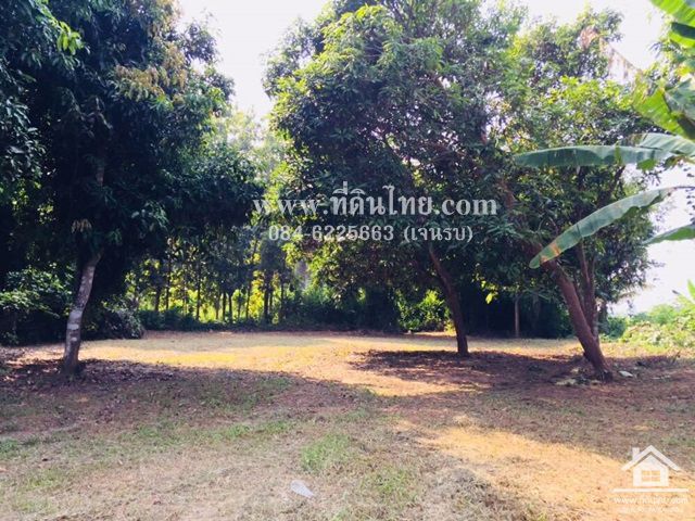 ขายที่ดินว่างเปล่า-โฉนด-3งาน26ตรว-ตปากช่อง-อหล่มสัก-จเพชรบูรณ์-รหัส-l292