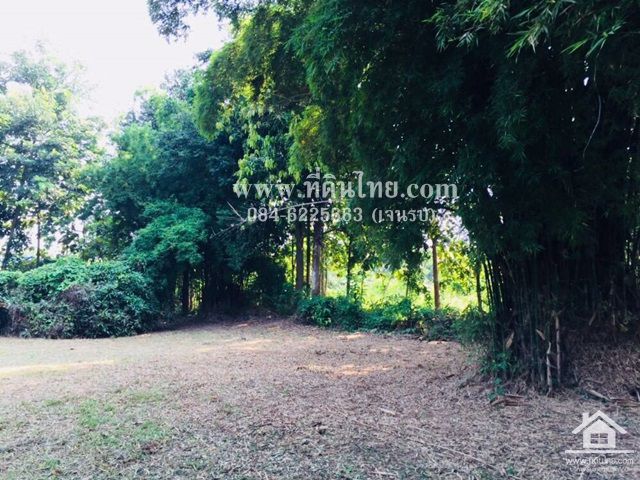 ขายที่ดินว่างเปล่า-โฉนด-3งาน26ตรว-ตปากช่อง-อหล่มสัก-จเพชรบูรณ์-รหัส-l292