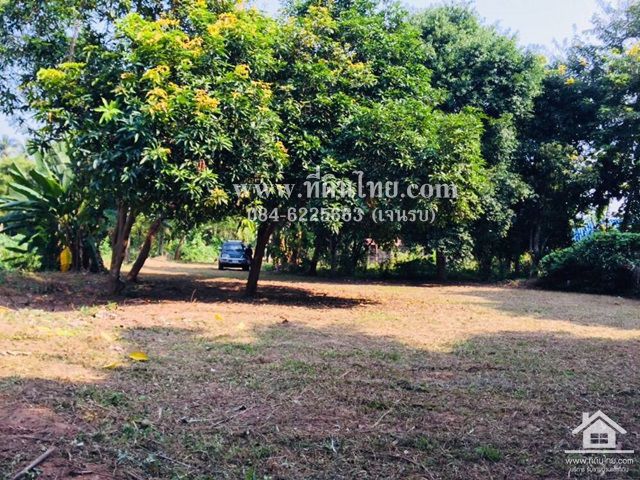 ขายที่ดินว่างเปล่า-โฉนด-3งาน26ตรว-ตปากช่อง-อหล่มสัก-จเพชรบูรณ์-รหัส-l292