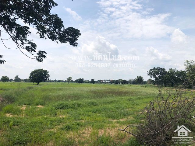 ขายที่ดินโคกสำโรง-ขายที่ดินลพบุรี-10ไร่เศษ-โฉนด-ตเพนียด-อโคกสำโรง-จ-ลพบุรี-รหัส-l293