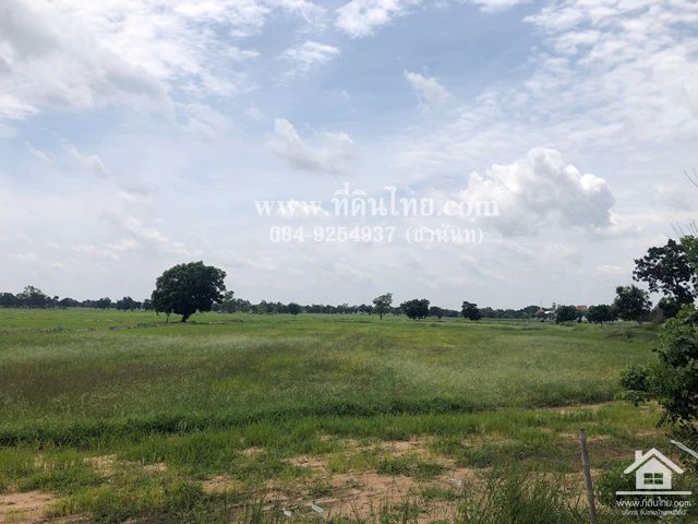 ขายที่ดินโคกสำโรง-ขายที่ดินลพบุรี-10ไร่เศษ-โฉนด-ตเพนียด-อโคกสำโรง-จ-ลพบุรี-รหัส-l293