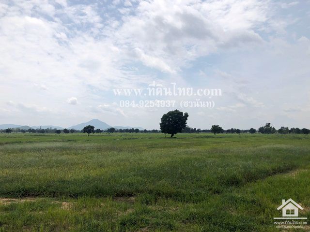 ขายที่ดินโคกสำโรง-ขายที่ดินลพบุรี-10ไร่เศษ-โฉนด-ตเพนียด-อโคกสำโรง-จ-ลพบุรี-รหัส-l293