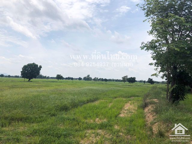 ขายที่ดินโคกสำโรง-ขายที่ดินลพบุรี-10ไร่เศษ-โฉนด-ตเพนียด-อโคกสำโรง-จ-ลพบุรี-รหัส-l293
