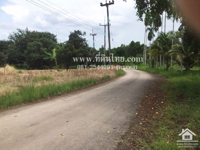 ขายสวนผลไม้-อมะขามจันทบุรี-โฉนด-6ไร่-ตมะขาม-อมะขามจจันทบุรี-รหัส-l295