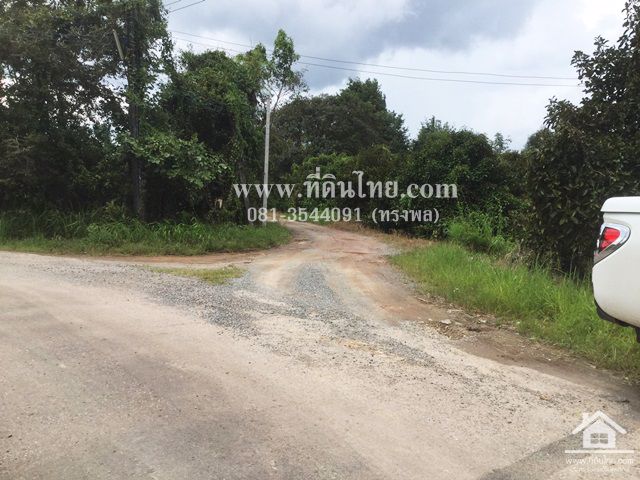 ขายสวนผลไม้-อมะขามจันทบุรี-โฉนด-6ไร่-ตมะขาม-อมะขามจจันทบุรี-รหัส-l295