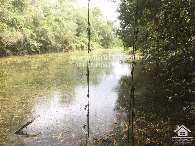 ขายสวนผลไม้-อมะขามจันทบุรี-โฉนด-6ไร่-ตมะขาม-อมะขามจจันทบุรี-รหัส-l295