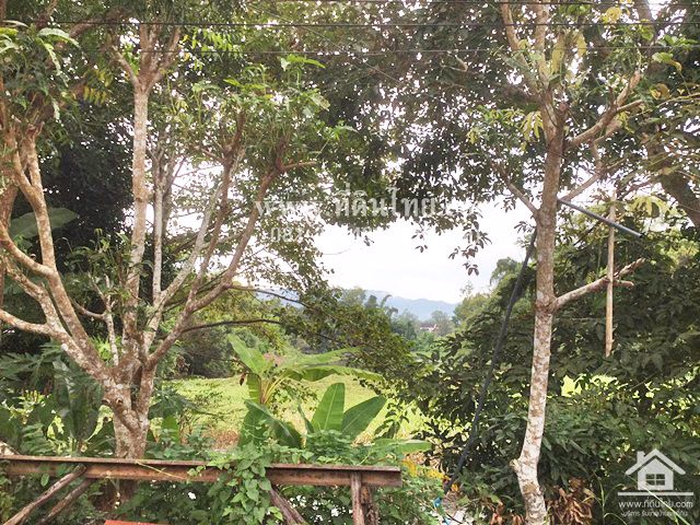 ขายที่ดินเพื่อที่อยู่อาศัย-ติดแม่น้ำจันทุรี-โฉนด-153ตรว-ตท่าช้าง-อเมือง-จจันทบุรี-รหัส-l296